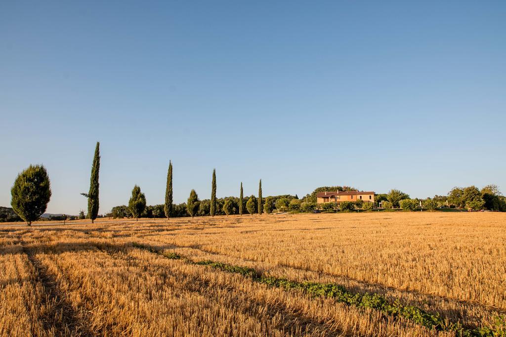 Agriturismo Il Tiro Castel del Piano  Exterior foto